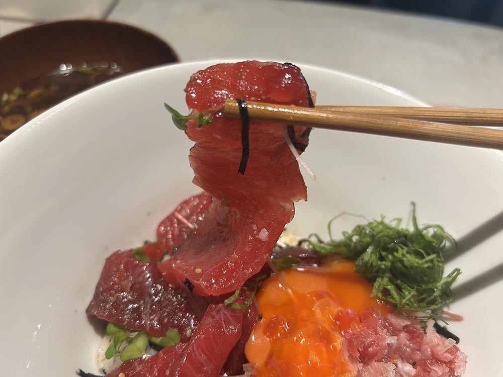 「まぐろひろし」鉄火